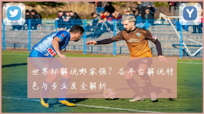 世界杯解说哪家强？各平台解说特色与专业度全解析