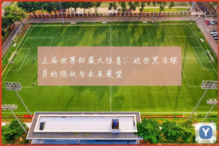 上届世界杯最大惊喜:这些黑马球员的现状与未来展望