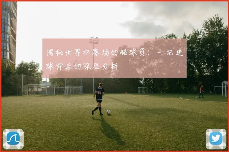 揭秘世界杯赛场的猫球员:一记进球背后的深层分析
