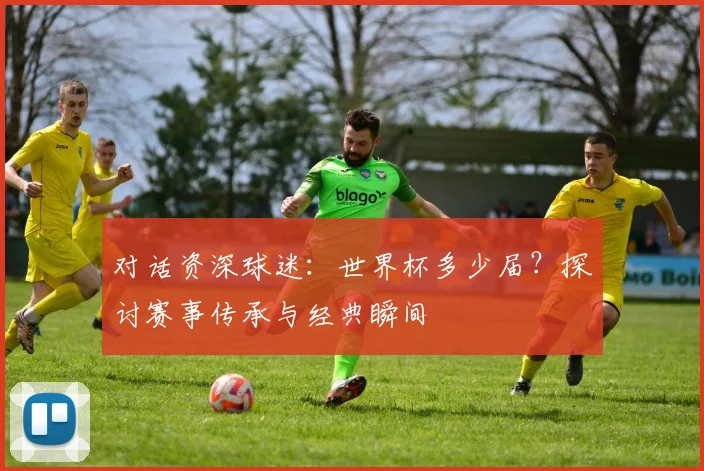 对话资深球迷：世界杯多少届？探讨赛事传承与经典瞬间