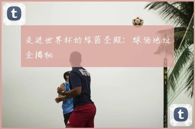走进世界杯的绿茵圣殿：球场地址全揭秘