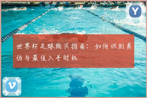 世界杯足球购买指南：如何识别真伪与最佳入手时机