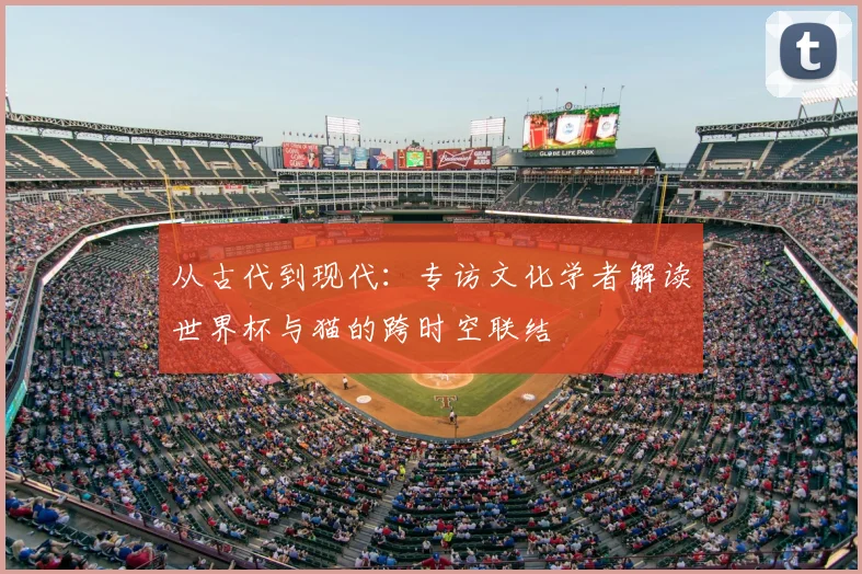 从古代到现代：专访文化学者解读世界杯与猫的跨时空联结