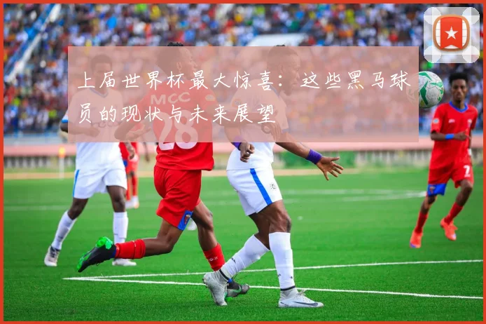 上届世界杯最大惊喜：这些黑马球员的现状与未来展望