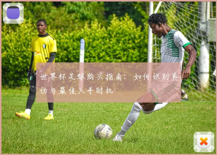 世界杯足球购买指南:如何识别真伪与最佳入手时机