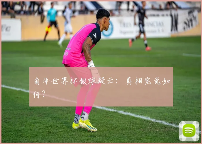 南非世界杯假球疑云:真相究竟如何?