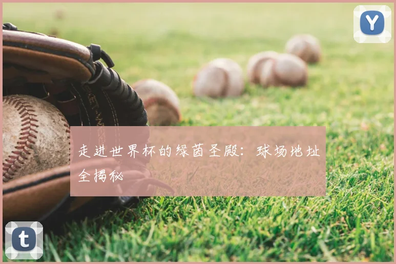 走进世界杯的绿茵圣殿：球场地址全揭秘